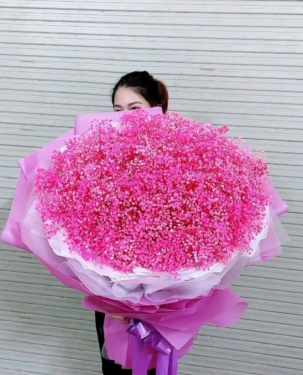 Hoa Bi nhập khẩu đủ màu - hoa tươi Bến Lức 